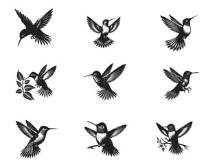 Obraz premium Collection of Hummingbird Clipart design, Hummingbird Vector illustration in black and white 