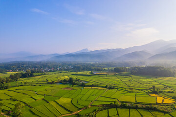 Fototapeta premium Beautiful aerial view natural of the agriculture in green and yellow rice field in rainy season for cultivation in Nan Province, Thailand.