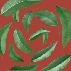 Green leaves swirling in air on red background