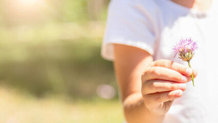 Child girl walking in park outdoor enjoying summer flowers family lifestyle vacations kid 4 years old. portrait little girl in harmony with nature