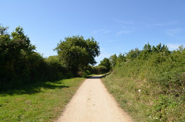 Locmariaquer (Morbihan - Bretagne - France)