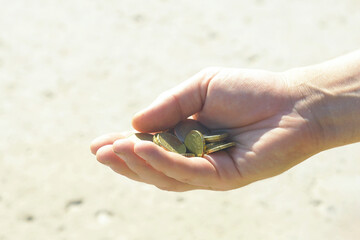 Cash payment in Europe: a man holds out the change in his palm after a purchase. A close-up of a man's hand holding 2 euros, 20 (twenty) and 5 (five) cents, as well as coins of other denominations