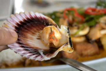 Sea clam of Peruvian dish Pescado a lo Macho