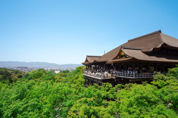 Kiyomizu-dera Temple in Spring