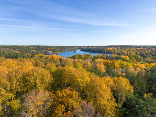 Aerial view of yellow autumn leaf foliage in trees of Hellasgården Nackareservatet nature reserve...
