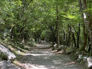 Mountaineering and recreational trails in the Velika Paklenica canyon, Starigrad (Paklenica National Park, Croatia) - Bergsteiger in der Schlucht Velika Paklenica, Starigrad (Nationalpark Paklenica)