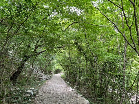 Mountaineering and recreational trails in the Velika Paklenica canyon, Starigrad (Paklenica National Park, Croatia) - Bergsteiger in der Schlucht Velika Paklenica, Starigrad (Nationalpark Paklenica)