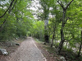 Mountaineering and recreational trails in the Velika Paklenica canyon, Starigrad (Paklenica National Park, Croatia) - Bergsteiger in der Schlucht Velika Paklenica, Starigrad (Nationalpark Paklenica)