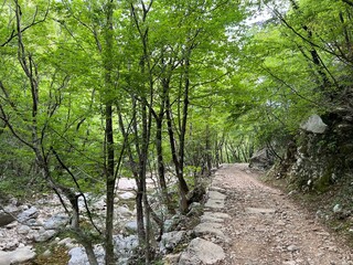 Obraz premium Mountaineering and recreational trails in the Velika Paklenica canyon, Starigrad (Paklenica National Park, Croatia) - Bergsteiger in der Schlucht Velika Paklenica, Starigrad (Nationalpark Paklenica)