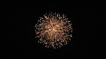 Fototapeta premium Bright Firework Explosion Against Black Sky