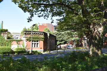 Fototapeta premium 大学舎 東京
