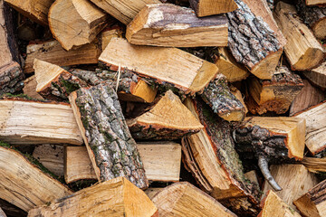 Man's Hands Stacking Chopped Firewood in a Woodpile Outdoors in Rural Countryside Background