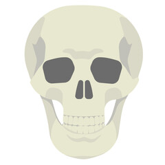 ドクロのイラスト