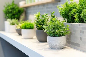 Fototapeta premium A chic bathroom adorned with small houseplants in modern pots on a stylish shelf. The greenery brings life to the space, contrasting beautifully with sleek tiles.