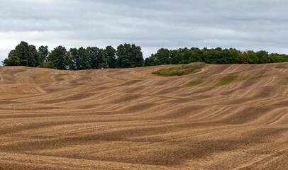 Obraz premium Stripes on soil of the agricultural field after the field was plowed by plows.