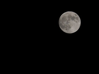 Fototapeta premium hunter's supermoon in october