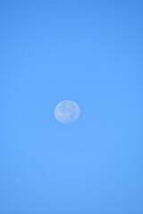 Full Moon in a Blue Sky