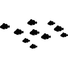 Obraz premium School of fish. Group of Nemo fish. School of fish in the ocean. Underwater world 