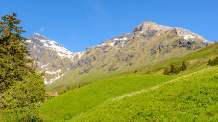 Obraz premium Beautiful landscape of valley in Alpine mountains, small trail, hike root, majestic picturesque view in sunny day