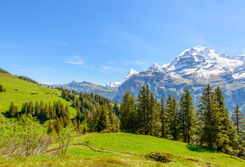Beautiful landscape of valley in Alpine mountains, small trail, hike root, majestic picturesque view in sunny day