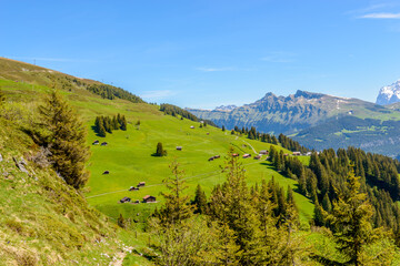 Obraz premium Beautiful landscape of valley in Alpine mountains, small trail, hike root, majestic picturesque view in sunny day