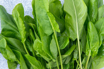 Sorrel green leaves. Herb vitamin food