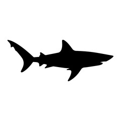 Obraz premium Shark vector silhouette illustration isolated on white background