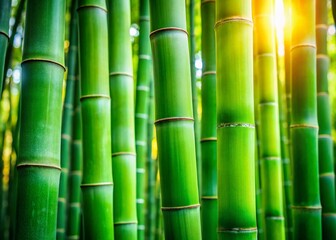 Fototapeta premium Close-Up Product Photography of Green Bamboo Trunks in Soft Side Sunlight for Natural Aesthetic Appeal