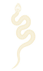 A simple cartoon snake illustration