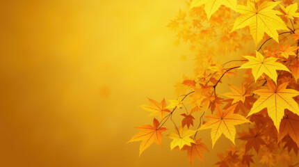 Fototapeta premium Bright Autumn Maple Leaves on Golden Background - Perfect for Seasonal Fall Imagery