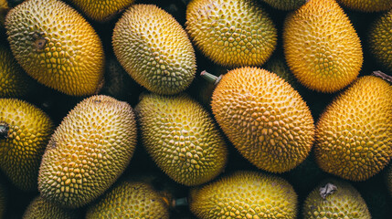 Fresh Organic Jackfruits for Sweet and Exotic Fiber-Rich Healthy Meals