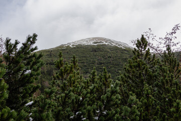 A photo of a mountain covered in snow