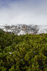 A photo of a mountain covered in snow
