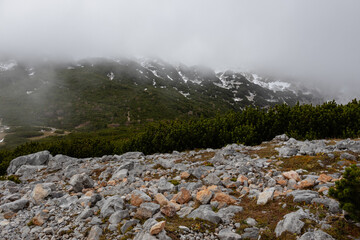 A photo of the rocks are gray