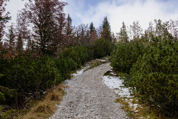 Obraz premium A photo of a rocky trail