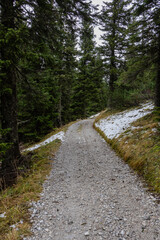 Obraz premium A photo of a trail through the woods