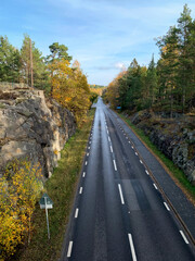 View of a straight road surrounded by forest on an autumn morning. The blue sign shows the name of the settlement.