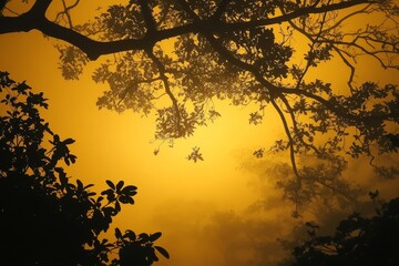 Fototapeta premium A misty yellow night sky with silhouettes of trees in the foreground and branches hanging down, creating a mysterious and atmospheric scene.