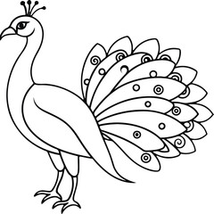Fototapeta premium peacock illustration