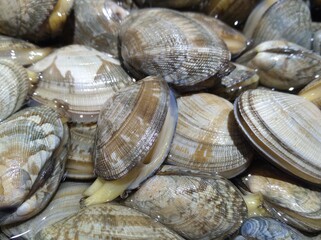 Flower armor sold in supermarkets