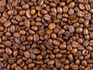 Fototapeta premium Coffee beans background 