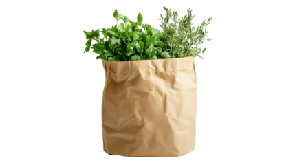 Brown paper bag with fresh herbs inside, isolated on a transparent background