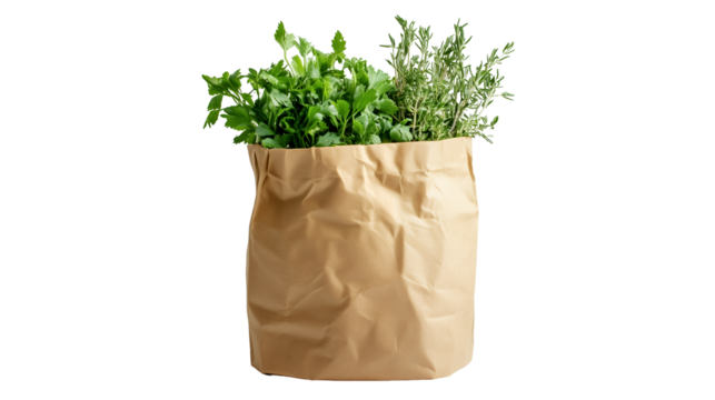 Brown paper bag with fresh herbs inside, isolated on a transparent background
