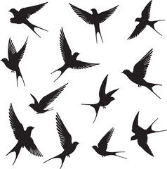 set of of swallows in different poses silhouette design vector art illustration isolated background