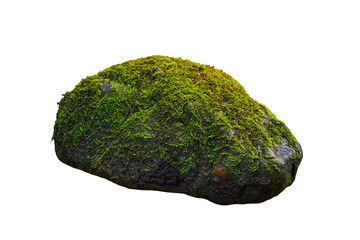 greengreen moss on stone isolated on white background. This has clipping path. moss on stone