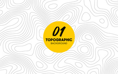 Topography Vector Map: Abstract Geometric Terrain Illustration with Contours, Relief, and Modern Design