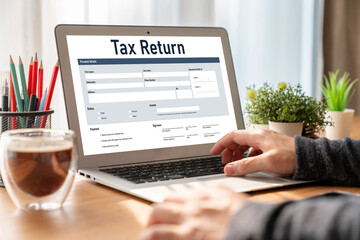 Online tax return form for submitting individual income tax return form snugly on the internet...