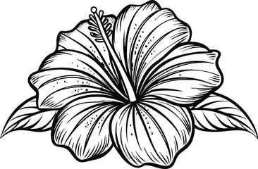 Intricate Hibiscus Flower Engraving, Detailed Black and White Illustration on White Background.