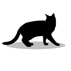 Bengal Cat silhouette illustration Design Bengal Cat silhouette icon