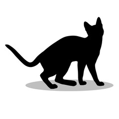 Bengal Cat silhouette illustration Design Bengal Cat silhouette icon